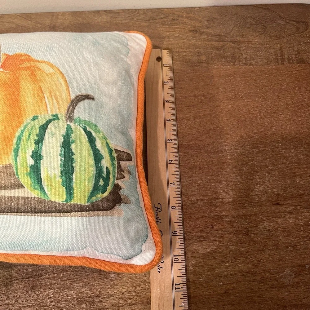 Pumpkin Gourd Fall Harvest Throw Pillow Orange Blue Striped 10